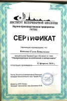 Сертификат (Ультразвуковые исследования в ветеринарии)