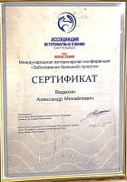 Сертификат (заболевания брюшной полости)