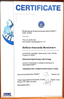 Сертификат (Продвинутая лапароскопия кошек и собак)