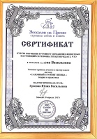 Сертификат (Груминг шпица)