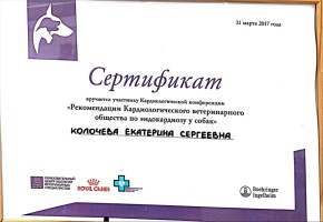 Сертификат (Рекомендации кардиологического ветеринарного общества по эндокардиозу у субак)